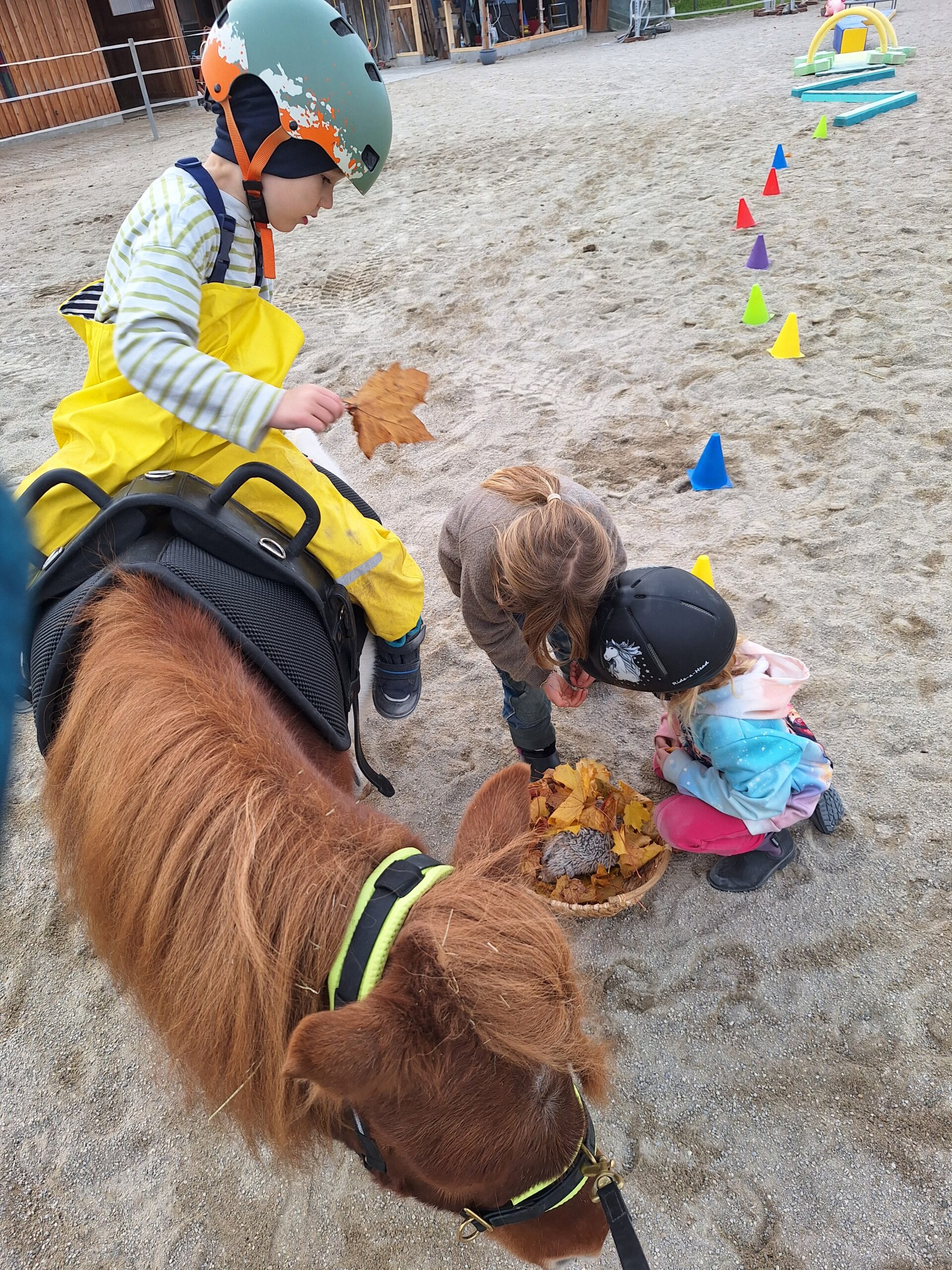 Ponystrolche Minis