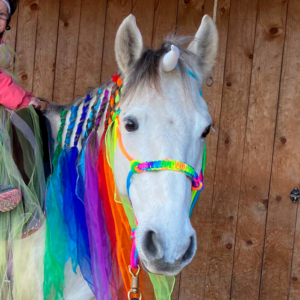 Einhorntag